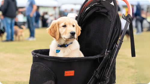 dog stroller