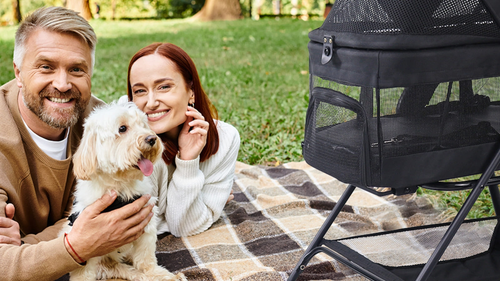 pet gear