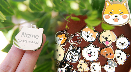 Personalized Pet Name Tag for Dogs Cats