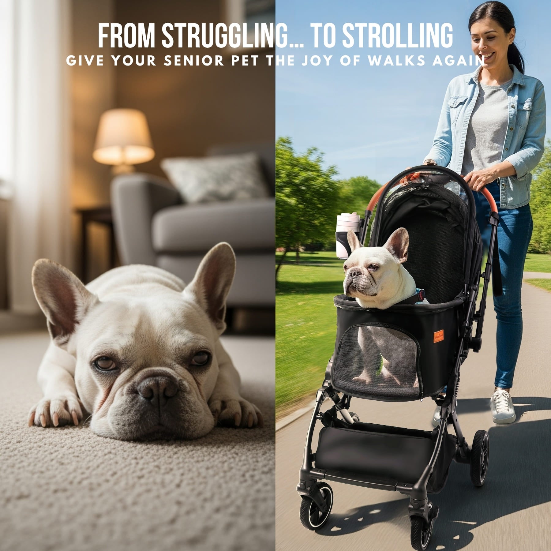 dog stroller french bulldog Foldable Pet Stroller for Small Dogs Cats Up to 45lbs | BB-C330H