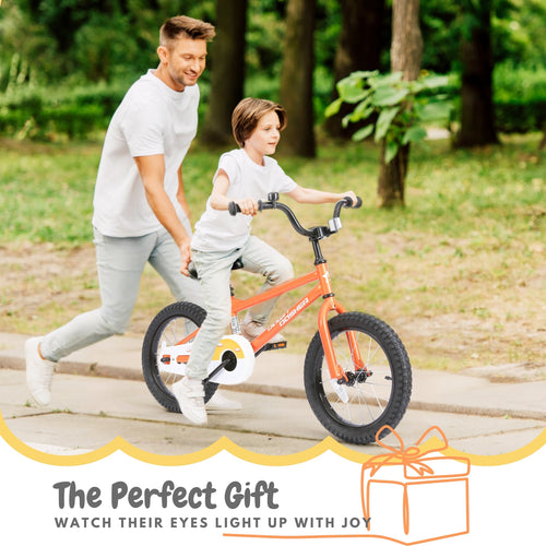 Kids Bike with Removable Training Wheels 14, 16 inch | BS-AZ0185