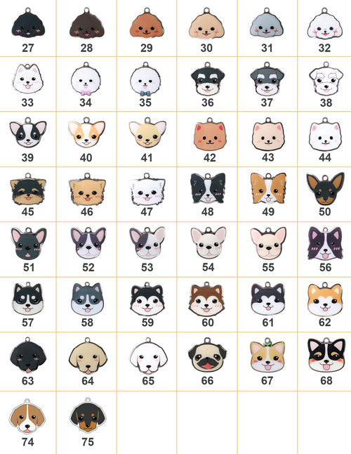 Personalized Pet Name Tag for Dogs Cats