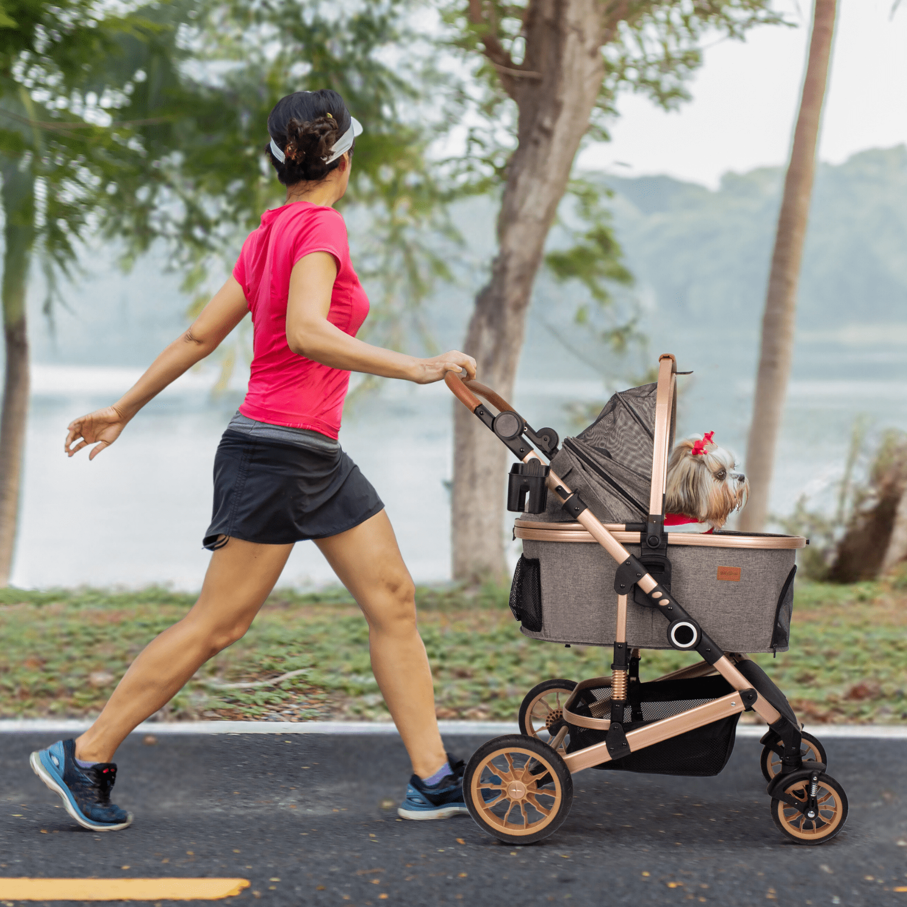 cat strollers for 2 cats