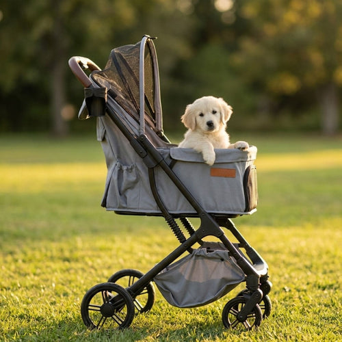 A small cream-colored puppy sits in a gray and black pet stroller on a grassy lawn with a blurred background of trees.