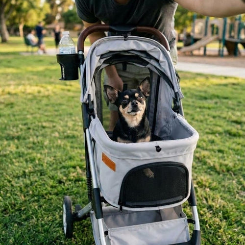 A small black and tan dog sits inside a light gray pet stroller on a grassy park lawn, with a person pushing the stroller in the background.