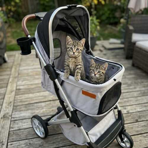 A small stroller with two tabby kittens sitting inside, photographed on a wooden deck outdoors. The stroller has a light gray and black design with mesh windows and a cup holder.