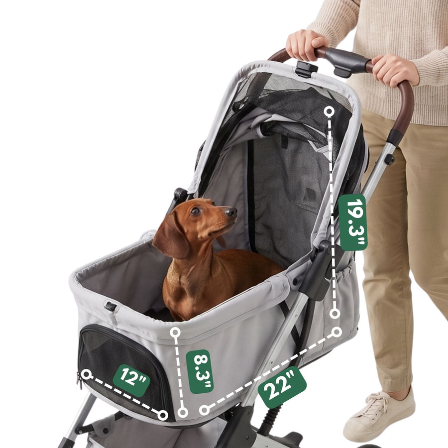 A gray pet stroller with a brown dachshund inside, shown with a person pushing it. White dashed lines and green labels indicate stroller dimensions: 12 inches wide at the front, 8.
