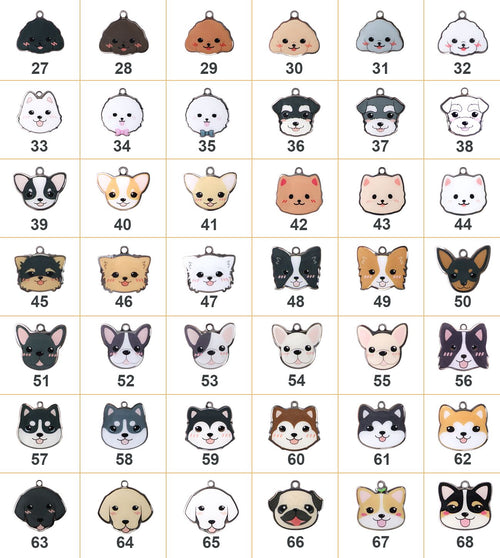 Personalized Pet Name Tag for Dogs Cats