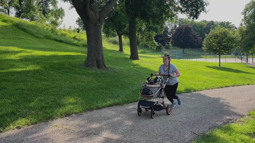 3 in 1 Pet Stroller with Detachable Carrier, Rubber Wheels | HLD-X6DD